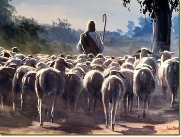 Sheep following shepherd